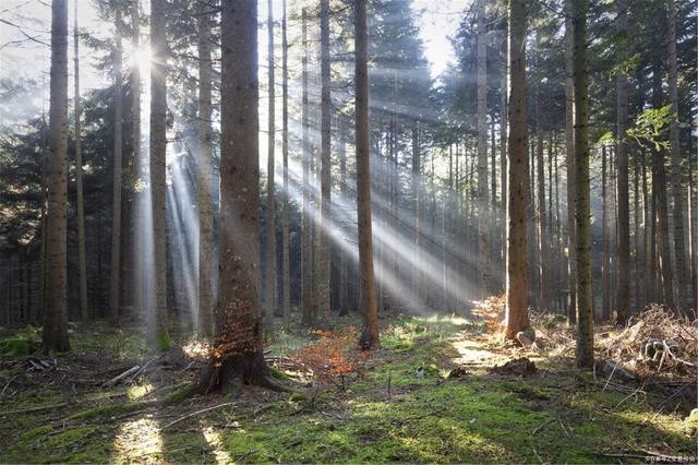 什么是負(fù)折射率?何為負(fù)折射率? 什么是負(fù)折射率?何為負(fù)折射率?