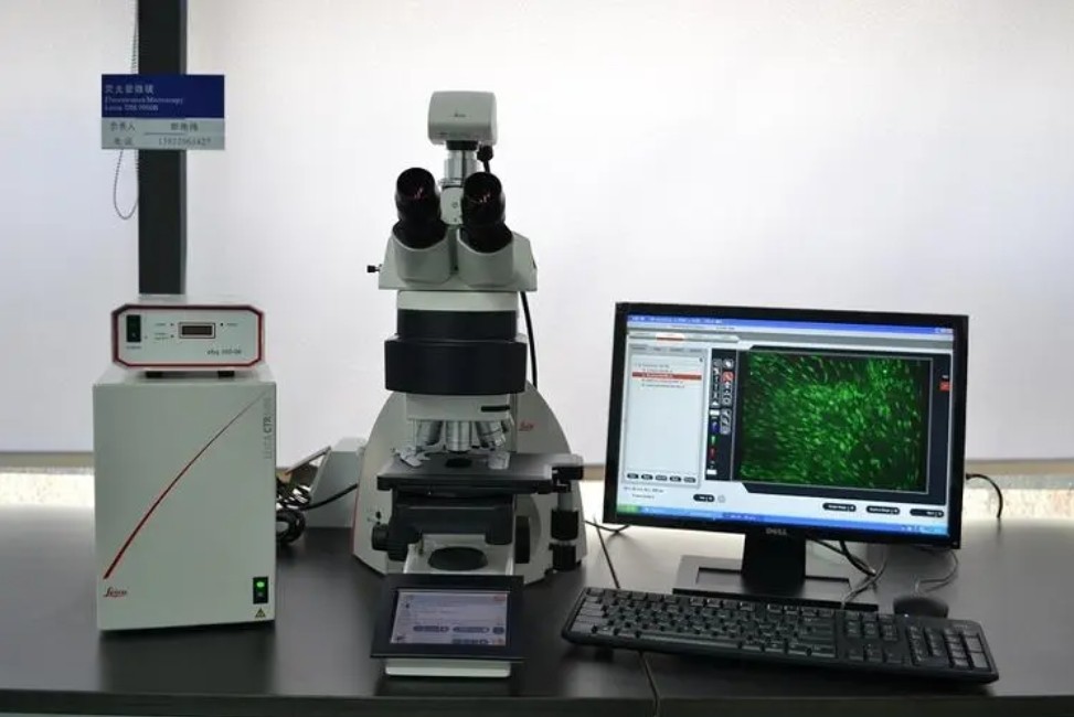 濾光片 熒光顯微鏡的原理與應(yīng)用