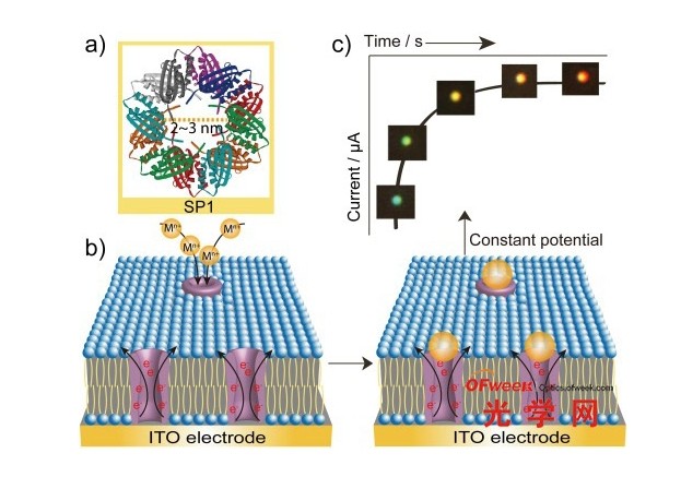 利用單納米粒子散射光譜技術(shù)實時追蹤生物分子 利用單納米粒子散射光譜技術(shù)實時追蹤生物分子