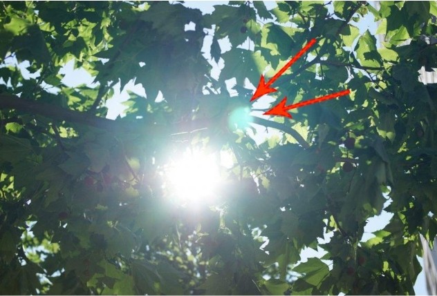 一文帶你了解鏡頭眩光以及如何避免 一文帶你了解鏡頭眩光以及如何避免