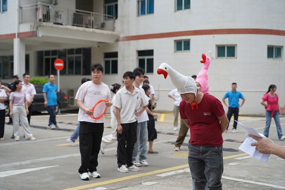 濾光片 趣味活動(dòng)套大鵝3