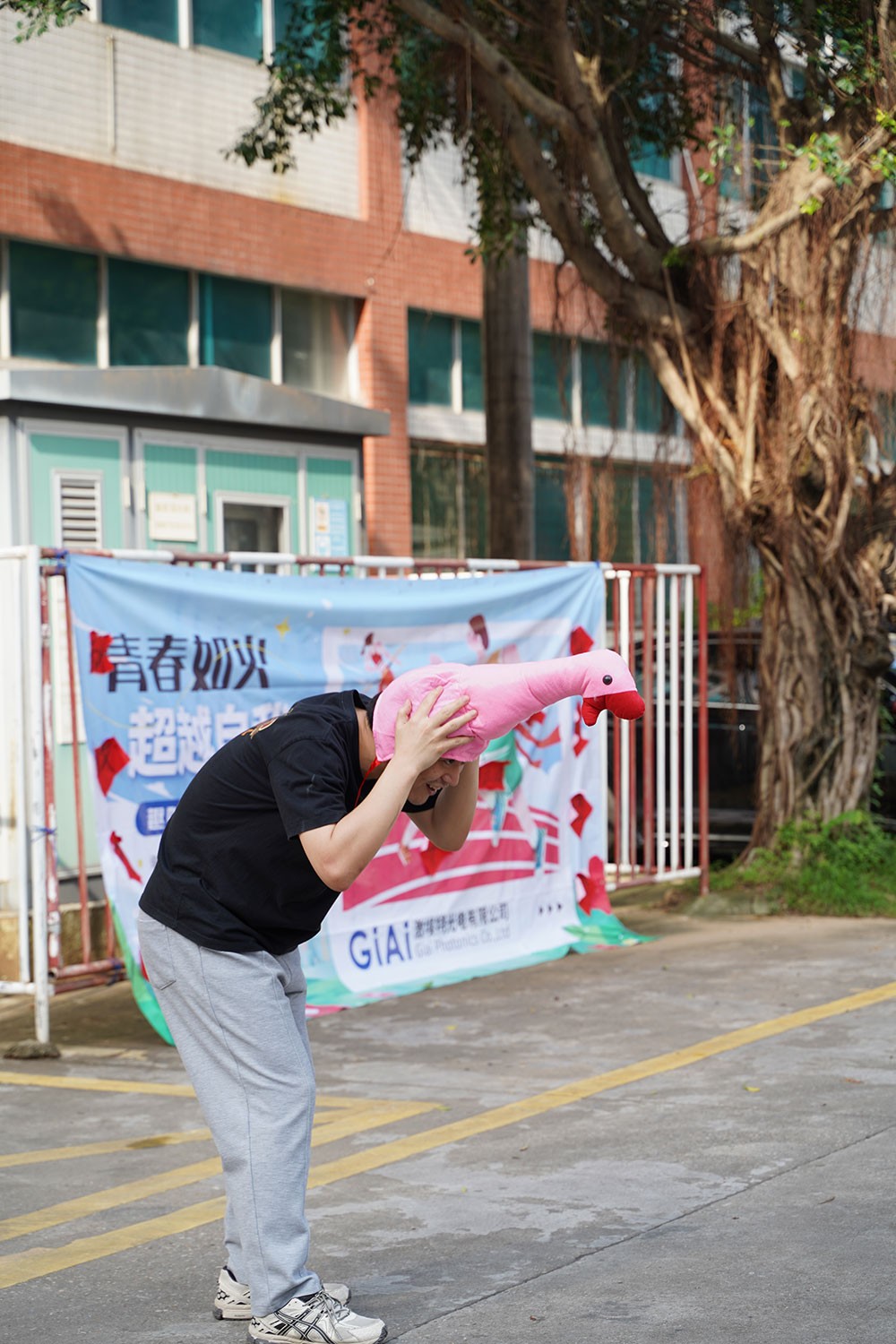 濾光片 趣味活動(dòng)套大鵝1