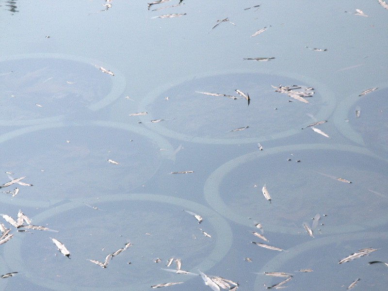 濾光片 偏振鏡光學(xué)原理和在機(jī)器視覺(jué)中的應(yīng)用